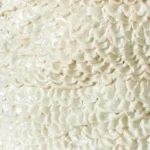 Casa Planter Vase lll - Image 5